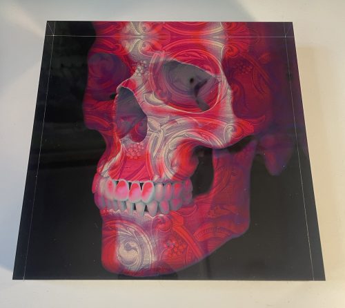 Cranio Rosso block web