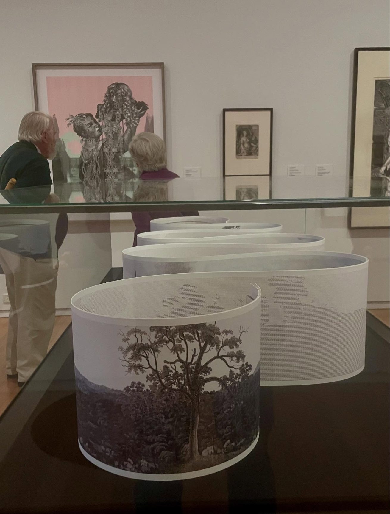 Geelong Gallery After Image viewing